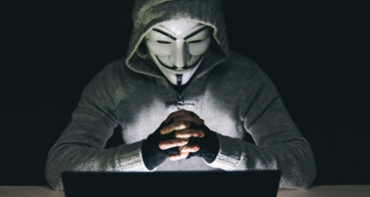 Anonymous, Polisen